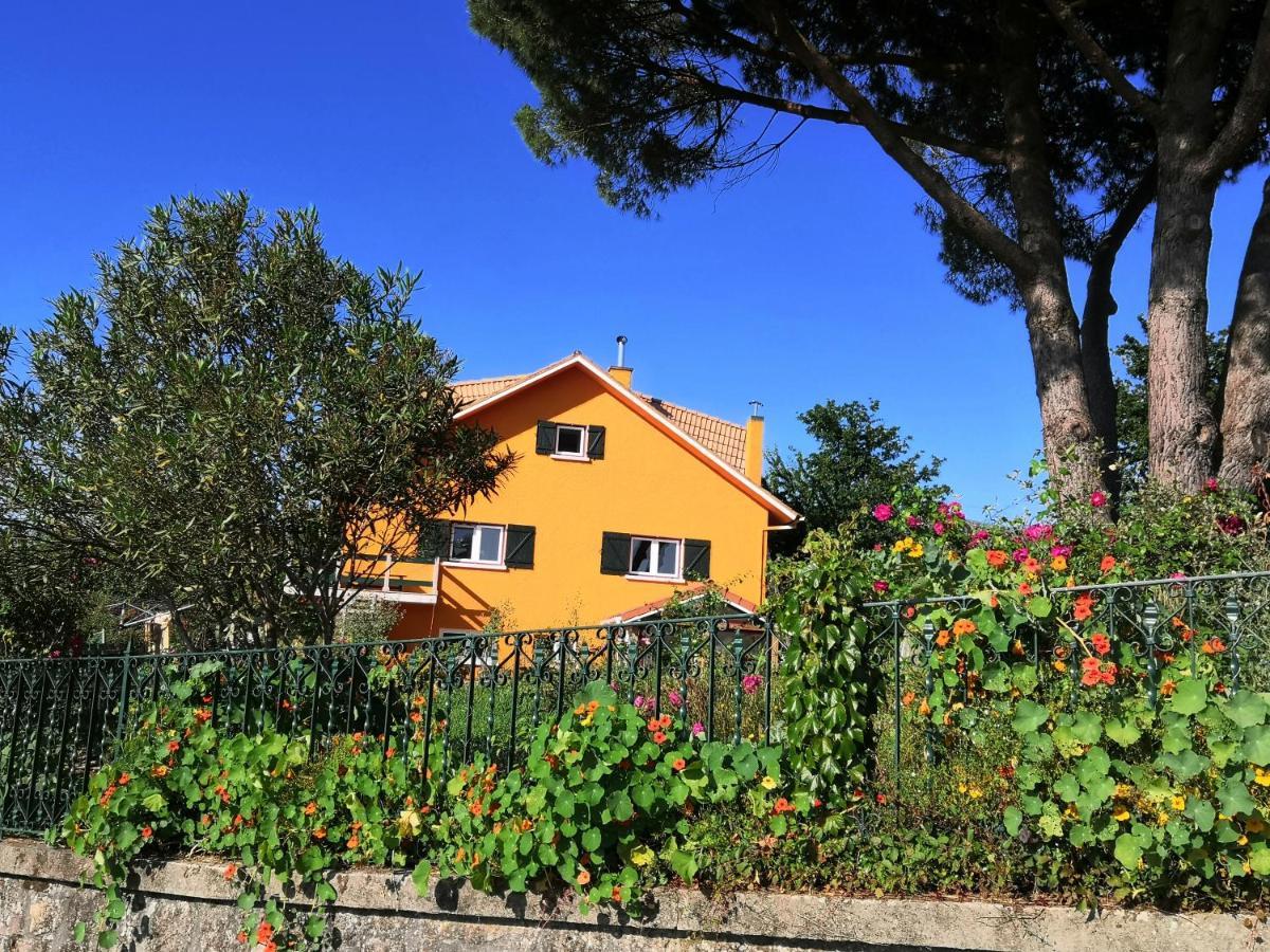 Casa Gwendoline - Albergue / Hostel / Al - Caminho Da Costa فيلا نوفا دي سيرفيرا المظهر الخارجي الصورة